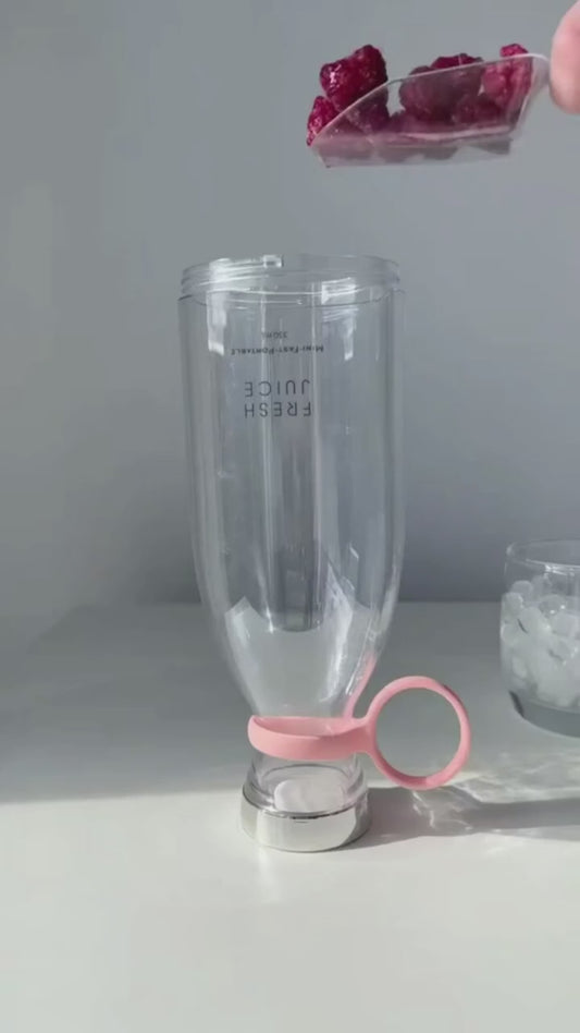 Traveler Portable Mini Juice Blender